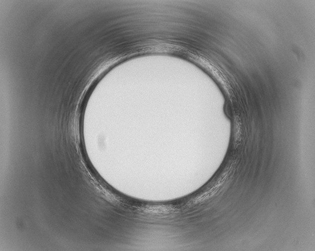 X0000115710843200912101235