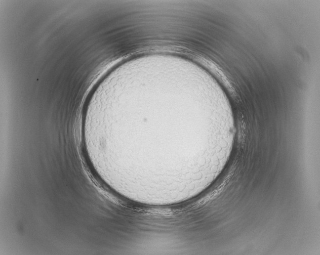 X0000115710844200912101235