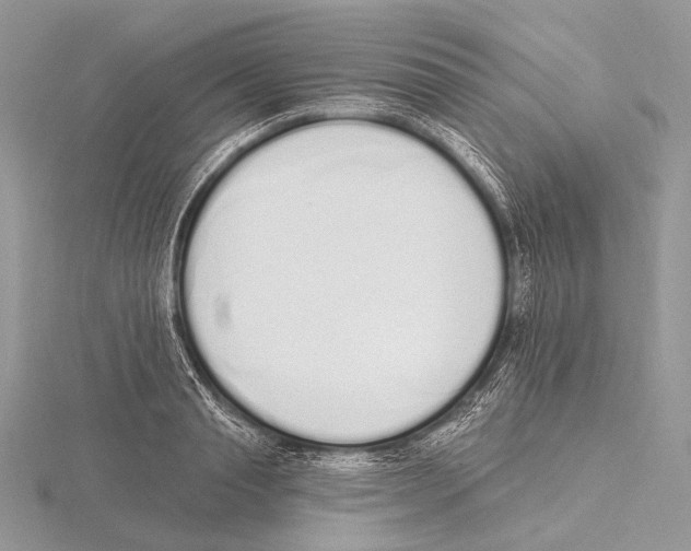 X0000115710845200912101235