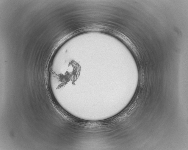 X0000115710850200912101235