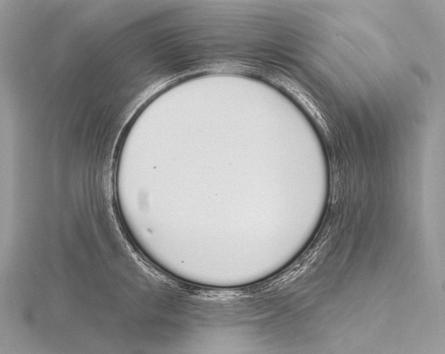 X0000115710853200912101235