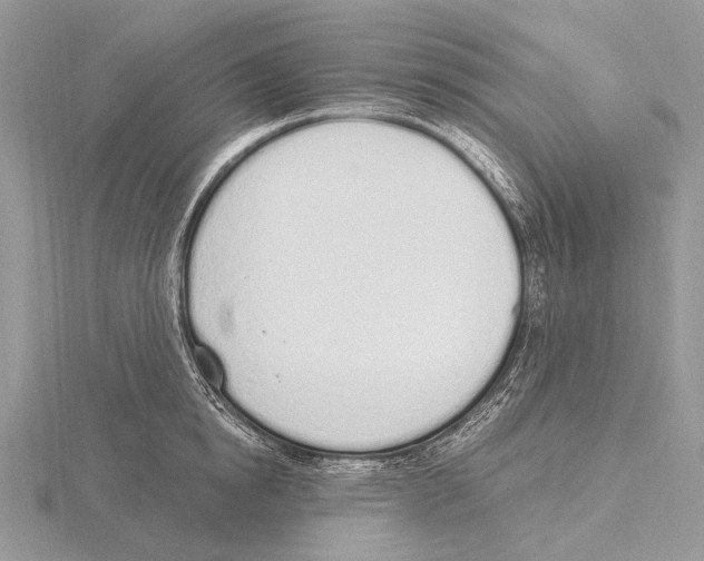 X0000115710854200912101235