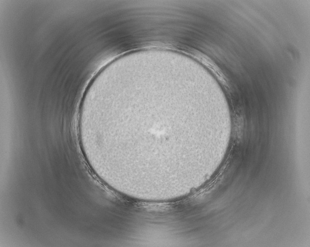 X0000115710856200912101235