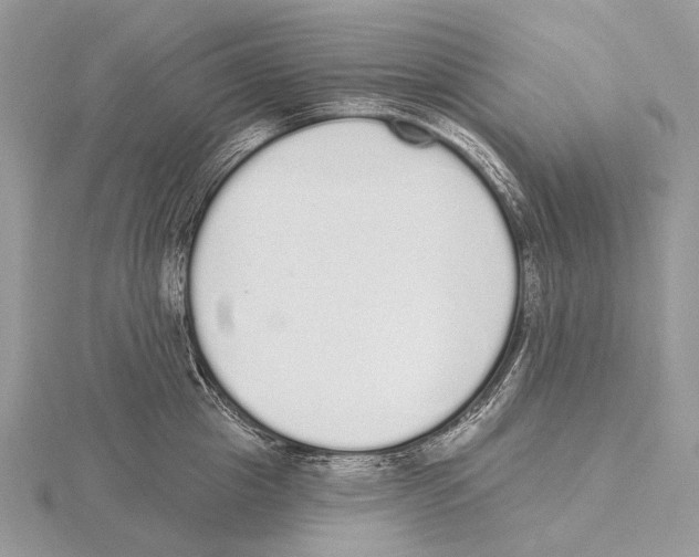 X0000115710857200912101235