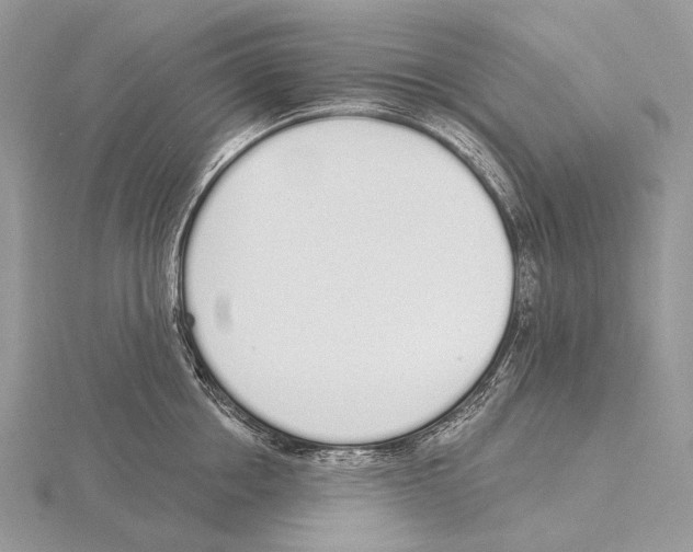 X0000115710858200912101235