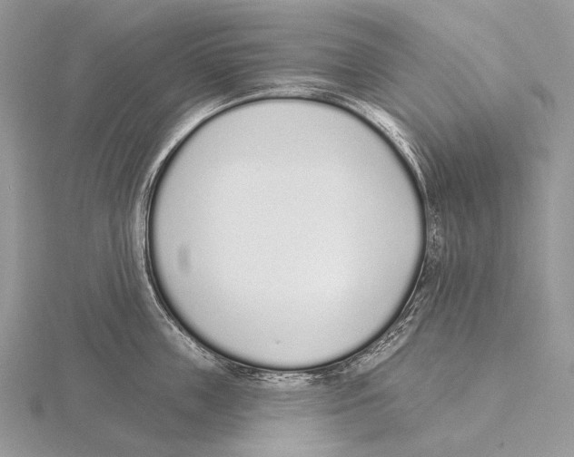 X0000115710859200912101235