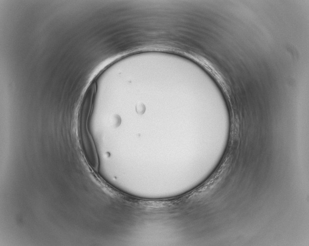 X0000115710862200912101235