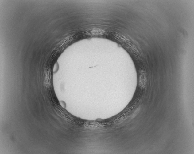 X0000115710866200912101235