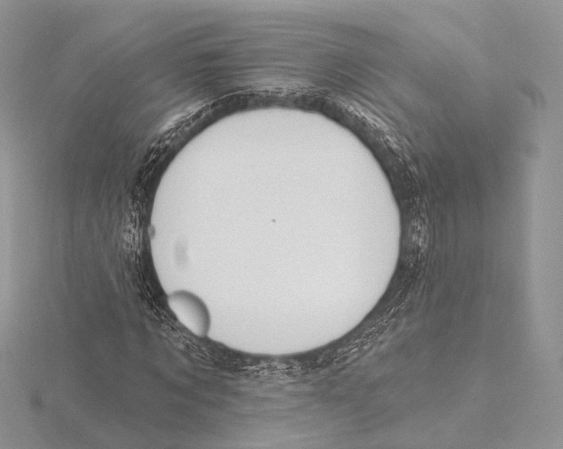 X0000115710869200912101235