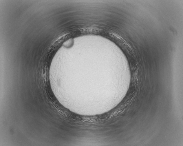 X0000115710870200912101235