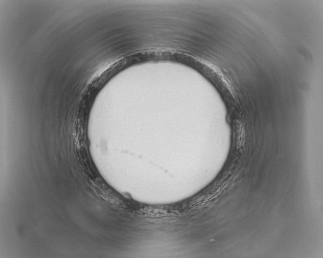 X0000115710871200912101235