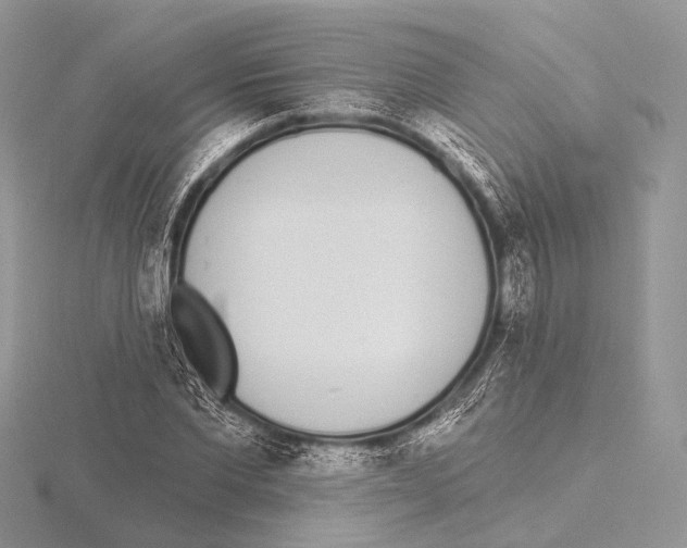 X0000115710877200912101235