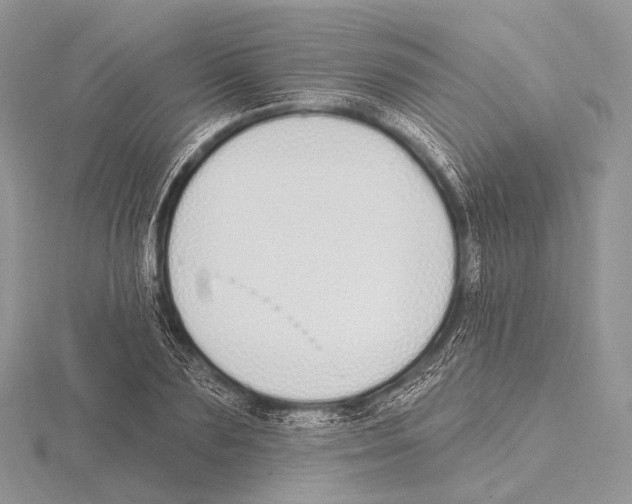 X0000115710883200912101235