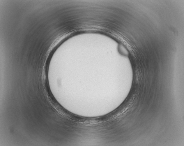 X0000115710885200912101235