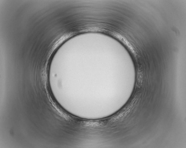 X0000115710890200912101234