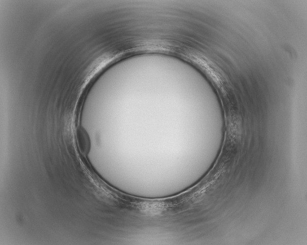 X0000115710893200912101234