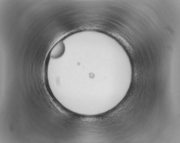 X0000115710894200912101234