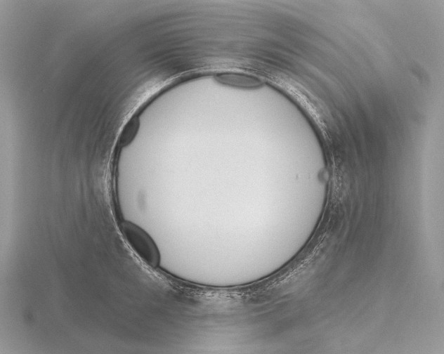 X0000115710901200912101234