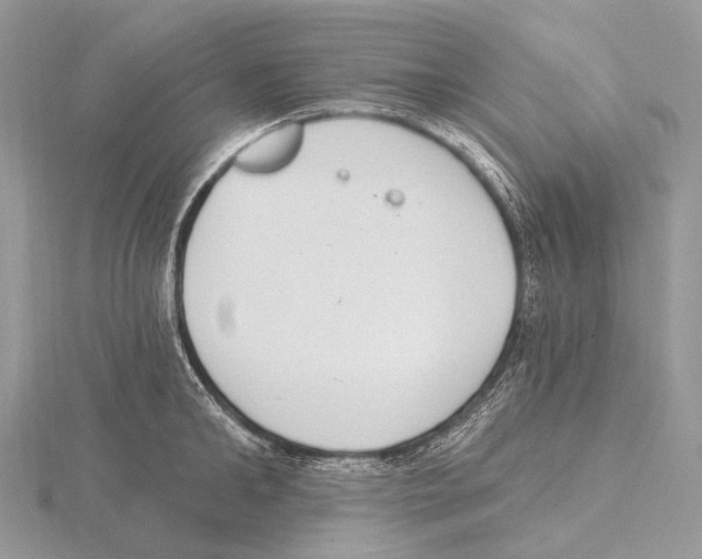 X0000115710902200912101234