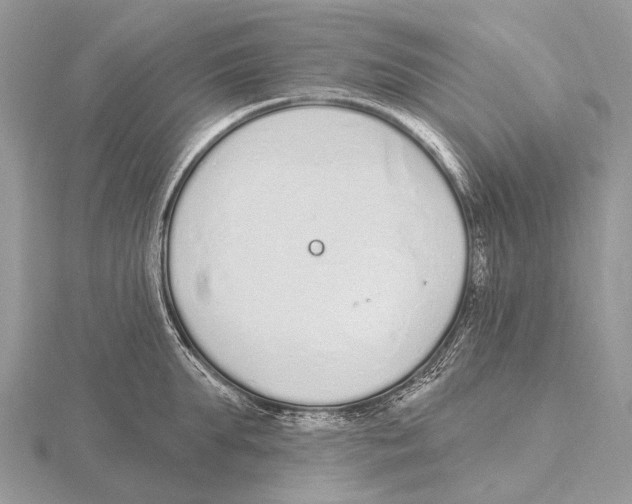 X0000115710903200912101234