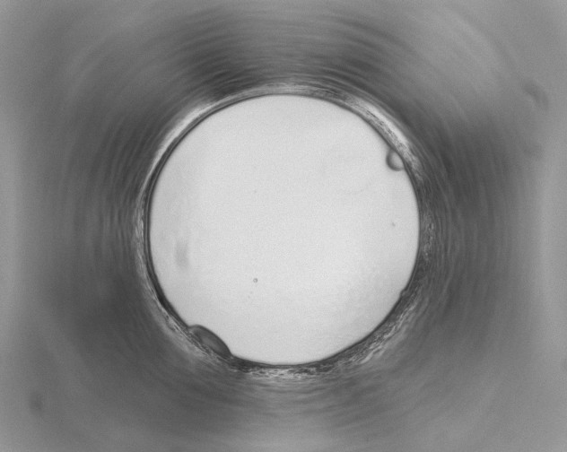 X0000115710907200912101234