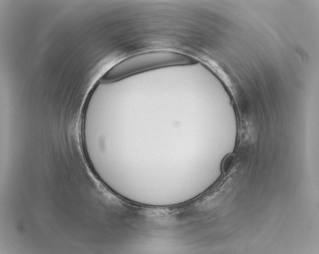 X0000115710909200912101234