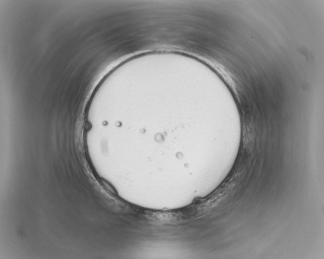 X0000115710911200912101234