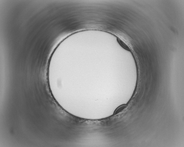 X0000115710912200912101234