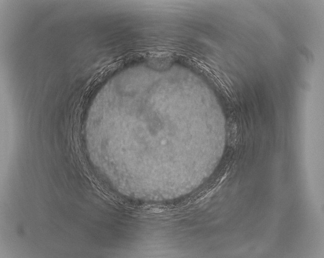 X0000115710913200912101233