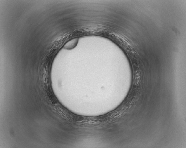 X0000115710917200912101234