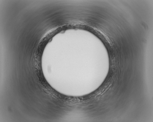 X0000115710919200912101234