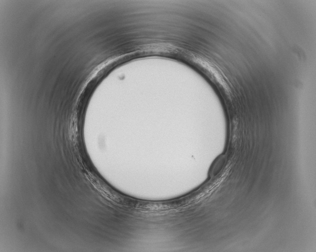 X0000115710923200912101234