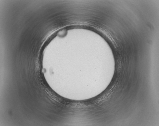 X0000115710927200912101234