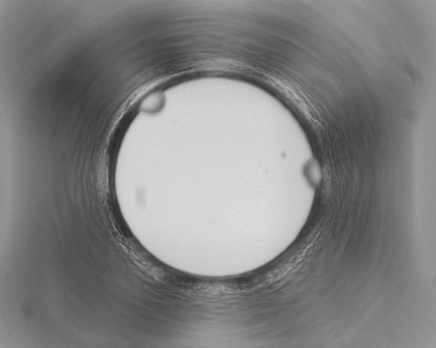 X0000115710931200912101234