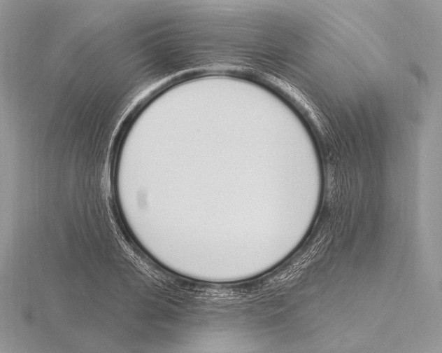 X0000115710935200912101234