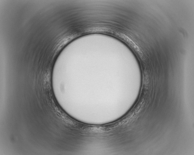 X0000115710937200912101234