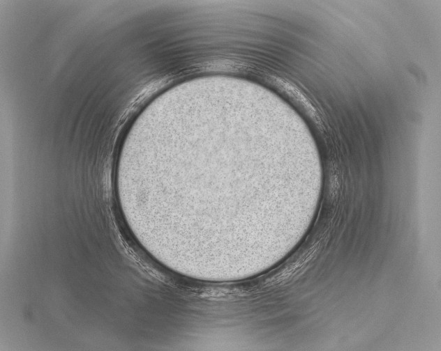 X0000115710938200912101234