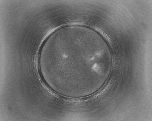 X0000115710941200912101234