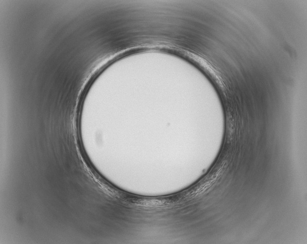 X0000115710943200912101234