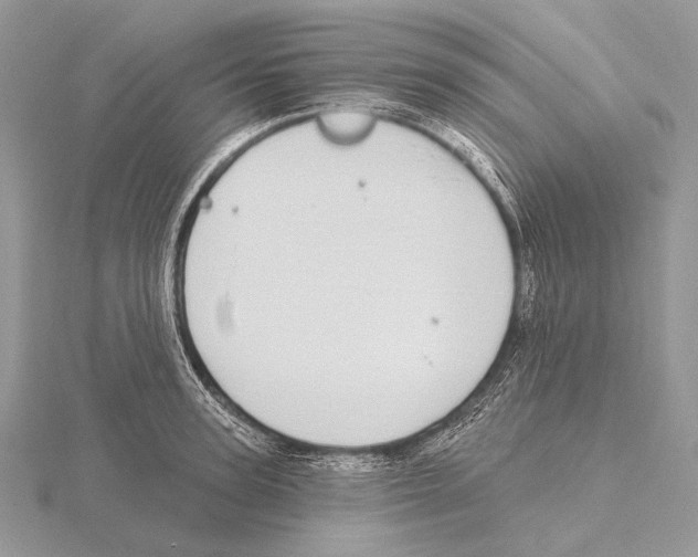 X0000115710947200912101234