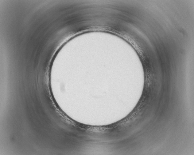 X0000115710950200912101234