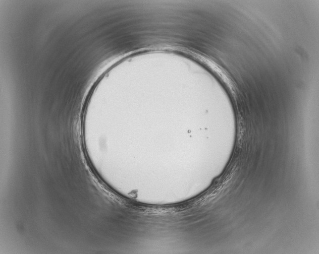 X0000115710951200912101234