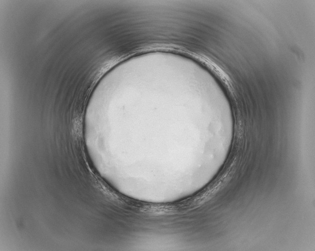 X0000115710953200912101234