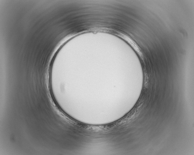 X0000115710955200912101234