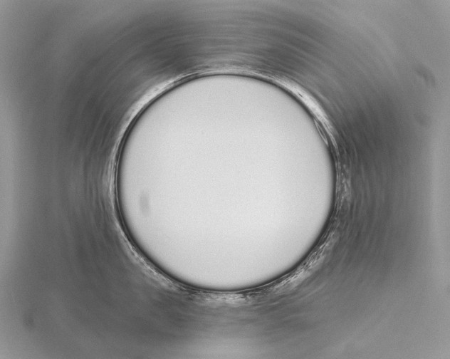 X0000115710957200912101234