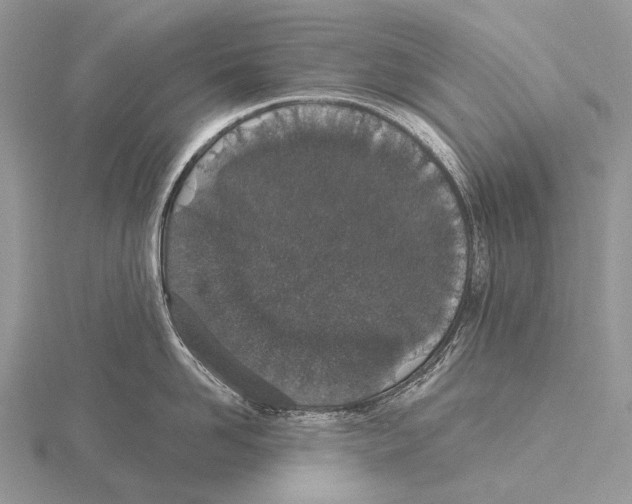 X0000115710958200912101234