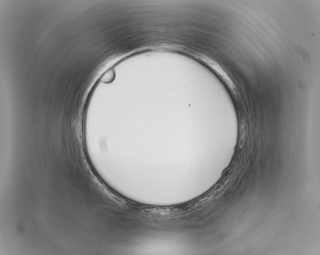 X0000115710959200912101234