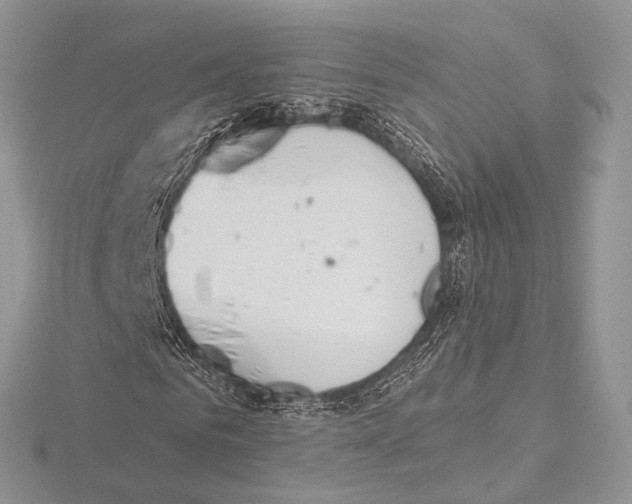 X0000115710961200912101233