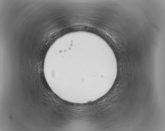 X0000115710965200912101233