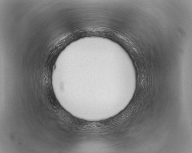 X0000115710966200912101233